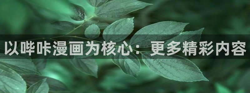 fate动漫樱花：以哔咔漫画为