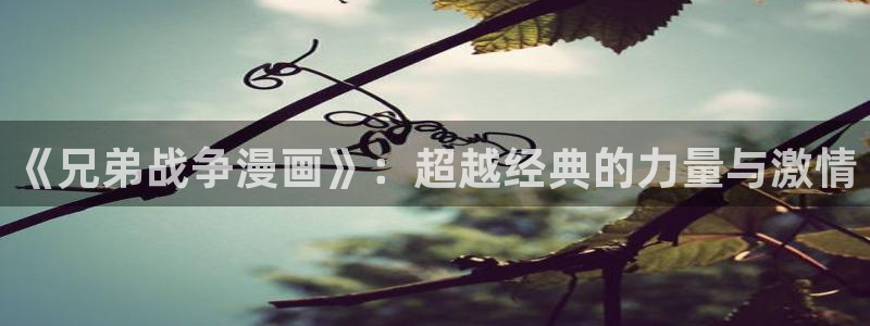 樱花动漫网站.：《兄弟战争漫画》：超越经典的力量与激情