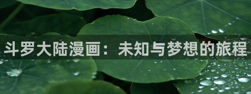 我独自崛起樱花动漫第二季：斗罗大陆漫画：未知与梦想的旅程