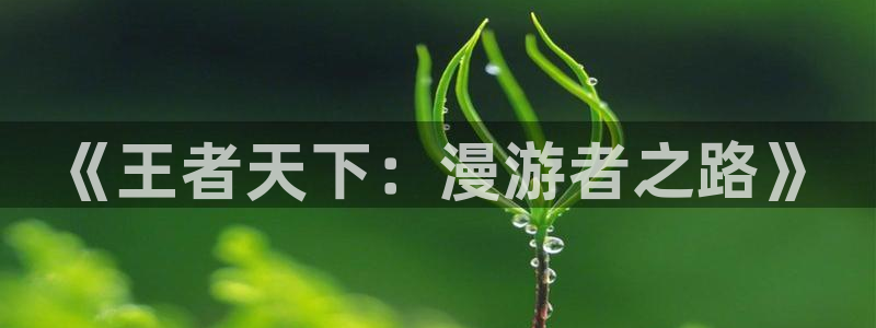 樱花漫画已完结：《王者天下：漫游者之路》