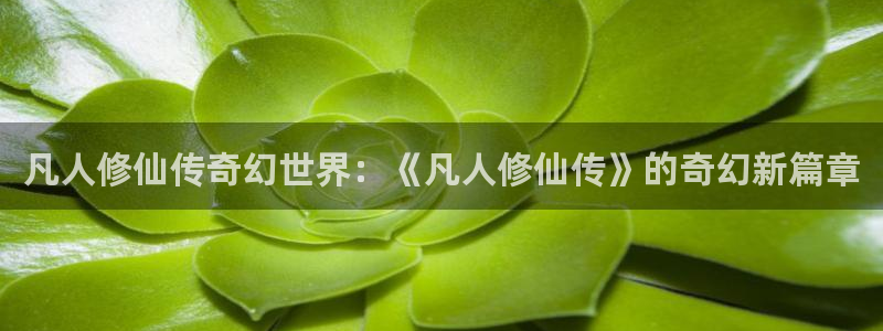 樱花动漫/：凡人修仙传奇幻世界：《凡人修仙传》的奇幻新篇章