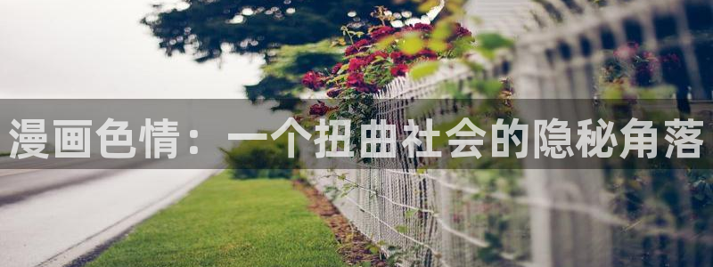 海贼王漫画全集樱花：漫画色情：一个扭曲社会的隐秘角落